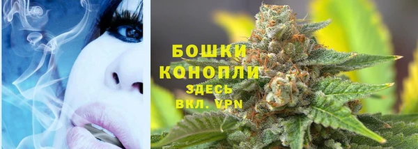 spice Абаза