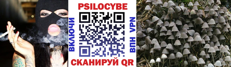 гидра ССЫЛКА  Азнакаево  Галлюциногенные грибы Cubensis 