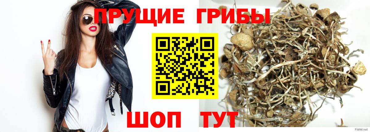 Азнакаево  Галлюциногенные грибы ЛСД  Вход с VPN 