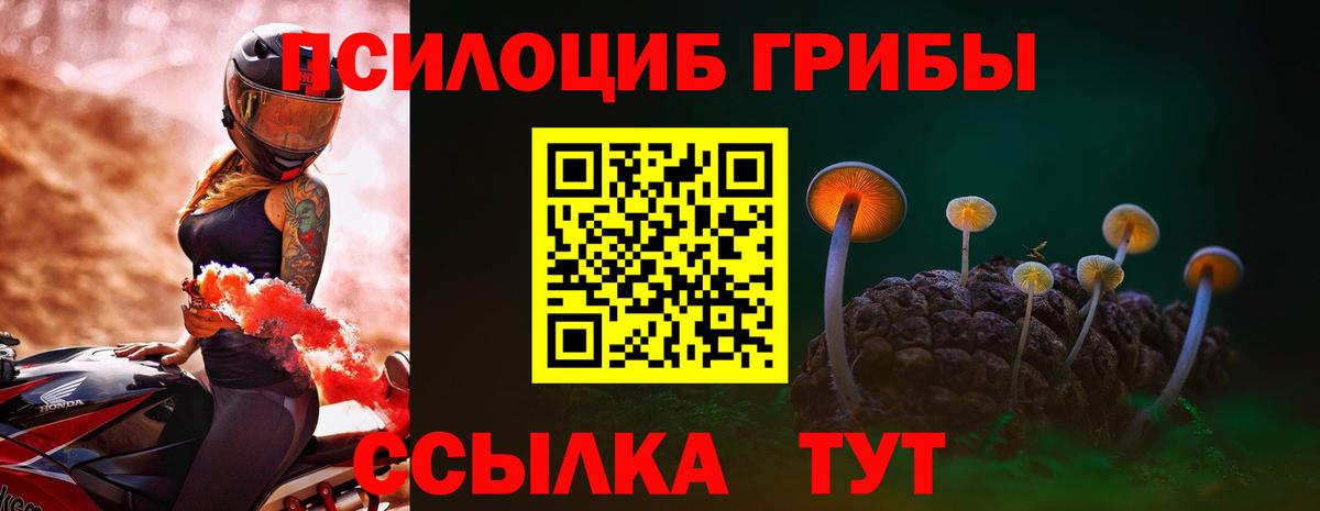 Псилоцибиновые грибы Magic Shrooms Азнакаево